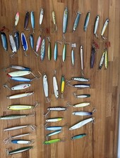 saltwater fish others for sale saltwater fish others for sale Jurupa Valley