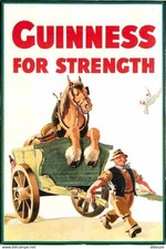 Animaux chevaux carte d'occasion  Fruges
