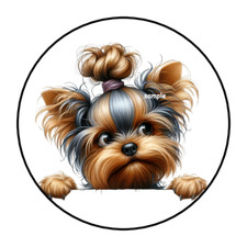 Cute yorkie envelope for sale  Manchester