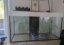Komplettset aquarium 120 gebraucht kaufen  Altenburg