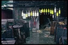 228027 lobster trap for sale  UK
