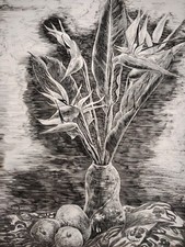 Beau gand dessin d'occasion  Saint-Félix-Lauragais