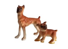 Miniature boxer bone for sale  Wooster