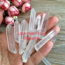 2lb tibet small for sale  Flushing