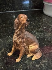 Dogs galore irish for sale  HOCKLEY