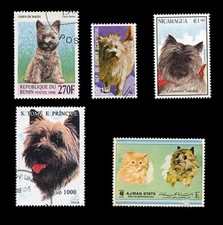 Cairn terrier scottish d'occasion  Expédié en Belgium