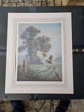 Nigel hemming spirit for sale  BRIGHTON
