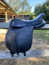 Black cob great for sale  ST. LEONARDS-ON-SEA