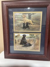 14x17 labrador retriever for sale  Duffield