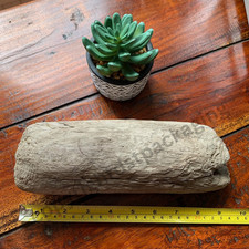 Driftwood large piece for sale  FLEETWOOD