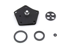 Kawasaki kit revisione usato  Sarno