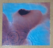 pink floyd meddle usato  Roma