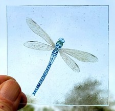 Stained glass dragonfly for sale  BATTLE