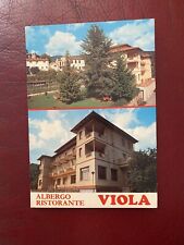 Cartolina hotel viola usato  Beinasco