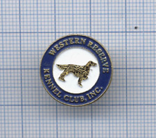 Pin logo western d'occasion  Massy