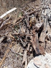Legna ardere forni usato  Siracusa