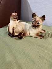 siamese baby for sale siamese baby for sale Brea