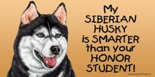 Siberian husky smarter d'occasion  Expédié en Belgium