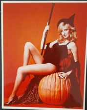 Morgan fairchild 8x10 for sale  Saint Louis