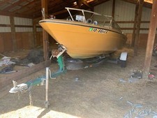 1979 bayliner bill for sale  Emmett