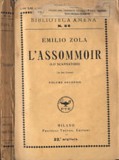 Assommoir vol. ii. usato  Italia