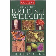 British wildlife photographic for sale  STOCKPORT