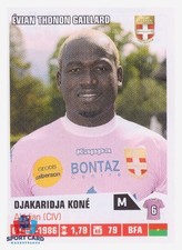 Panini foot 2014 d'occasion  Saint-André-de-Sangonis