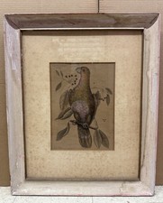 Vintage bird print for sale  Palm Bay