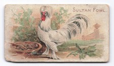 1891 allen ginter for sale  USA
