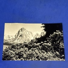 Alpe siusi gruppo usato  Bari