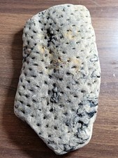 Large piece carboniferous for sale Large piece carboniferous for sale  PETERLEE