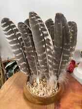 Natural turkey feathers for sale  North Hollywood
