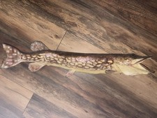 northern pike mounts for sale northern pike mounts for sale Georgetown