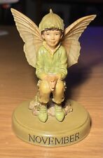 Flower fairies november for sale  CHESTERFIELD