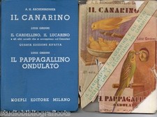 Aschenbrenner ghidini canarino usato  Catania