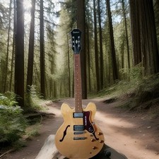 Epiphone 335 dot for sale  LIVERPOOL