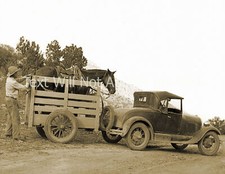 1931 loading horse for sale  Fitchburg