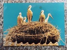 Storchendorf rühstädt storch gebraucht kaufen  Schönebeck (Elbe)