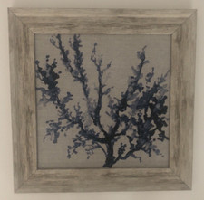 New framed coral for sale  Lynchburg