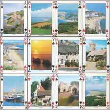 Fridge magnet playing for sale  DARLINGTON