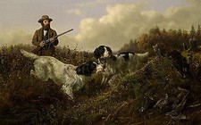 Flushing grouse long gebraucht kaufen  Grabenstätt