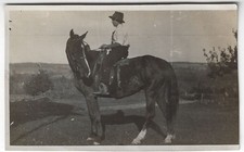Woman riding horse for sale  Freeville