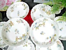 Haviland limoges wildflower for sale  Clinton Township