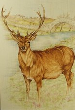 Original watercolour study for sale  WIRRAL