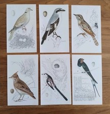 Bird prints set for sale  BIRKENHEAD