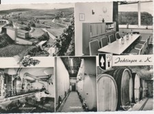 Sasbach kaiserstuhl winzergeno gebraucht kaufen  München