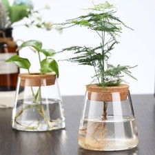 Set hydroponic plant for sale  ABERDEEN
