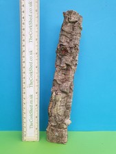 Cork bark branch for sale  VENTNOR