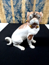 Dresden rare female for sale  Zephyrhills