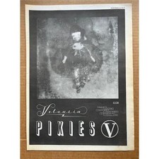 Pixies velouria poster for sale  CHESTERFIELD